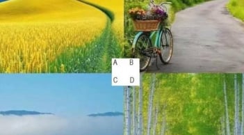 Trắc nghiệm tâm lý: Chọn một con đường bạn muốn đi để khám phá vận mệnh của bạn trong nửa sau cuộc đời