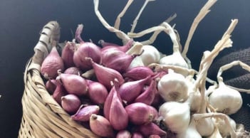 Cách bảo quản hành, tỏi cả năm không bị mốc, không bị teo thối hay mọc mầm