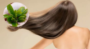 Gội đầu bằng thảo dược: Giải pháp tự nhiên giúp nuôi dưỡng tóc và da đầu khỏe mạnh mùa đông