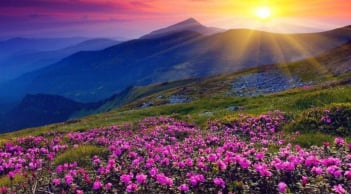 Trắc nghiệm tâm lý: Sau tuổi 50, bạn giàu sang phú quý hay sống an yên, bình dị?