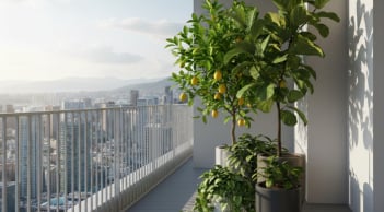 5 loại cây thường xuất hiện ở ban công nhà giàu, trồng đúng giúp tiền bạc khó thất thoát