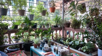 4 dấu hiệu vận may sắp đến nhà bạn, chỉ cần gặp 1/4 cũng xin chúc mừng