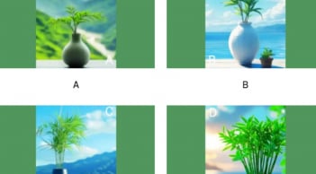 Trắc nghiệm tâm lý: Động lực kiếm tiền mạnh nhất của bạn trong năm 2026 là gì?