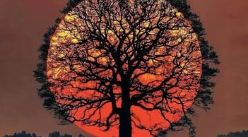 Trắc nghiệm tâm lý: Nhìn thấu hậu vận – Cuộc đời bạn có viên mãn, sung túc như mong ước?