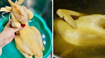 Bí quyết luộc gà “bất bại”: Sôi 5 phút rồi làm bước này, thịt chín đều, da vàng không nứt