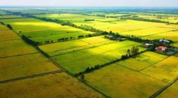 Các trường hợp được miễn thuế sử dụng đất nông nghiệp từ ngày 1/1/2026