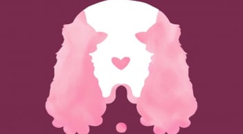 Trắc nghiệm vui: Hình ảnh đầu tiên tiết lộ điều gì về quan điểm tình yêu của bạn