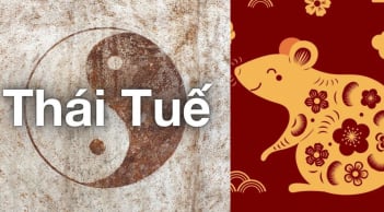 Năm 2026 Bính Ngọ: 4 con giáp phạm Thái Tuế vướng thị phi, hao tài, 1 tuổi dù không phạm vẫn lao đao