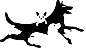 Trắc nghiệm tâm lý: Tâm hồn bạn đang ở độ tuổi nào? Kết quả có thể khiến bạn bất ngờ