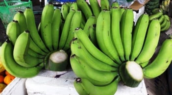 Cách ăn chuối xanh giảm cân, siết eo cấp tốc lại ổn định đường huyết