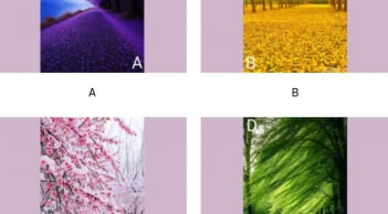 Trắc nghiệm tâm lý: Chọn phong cảnh bạn thích để biết sau tuổi 50 bạn giàu sang hay vẫn chật vật