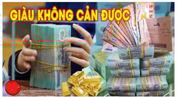 3 con giáp Hiền Lương Trời Thương Ban Lộc Lớn: Trung Số 500 tỷ giàu số 2 không ai số 1