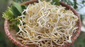 7 lợi ích bất ngờ của việc ăn giá đỗ thường xuyên