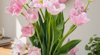 Tết này đừng chỉ cắm lay ơn, thược dược: Loài hoa “đổi màu” diệu kỳ đang được săn lùng, càng nở càng hút lộc