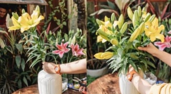 Mẹo cắm hoa tươi lâu cả tuần không héo, áp dụng ngay dịp Tết