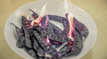 Cuối năm đốt bồ kết có tác dụng gì? Lý do nhà giàu Việt xưa nay đều làm để hút tài lộc