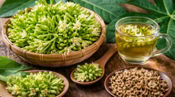  Hoa đu đủ đực nhiều công dụng, nhưng những người này nên tránh dùng