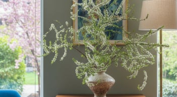 Sai lầm “kinh điển” khi thay nước khiến tuyết mai nhanh tàn: Sửa đúng một chi tiết, hoa tươi bền tới 2 tuần