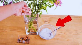 Cắm hoa chơi Tết cứ làm thêm 1 bước, hoa tươi rói đến tận Rằm tháng Giêng