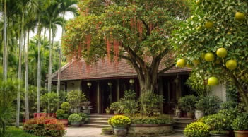 Người xưa dặn 3 loại cây trồng trước nhà mang lại may mắn cho nhiều thế hệ, gia đạo vững bền