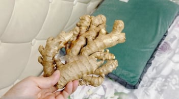 5 lợi ích khi đặt một củ gừng cạnh gối khi ngủ