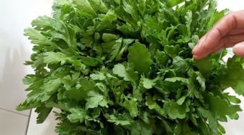 Những ai không nên ăn rau cải cúc