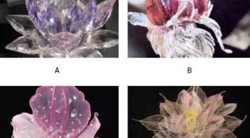 Trắc nghiệm tâm lý: Hình ảnh bạn nhìn thấy đầu tiên tiết lộ con người thật bên trong bạn