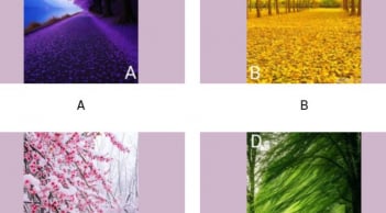 Trắc nghiệm tâm lý: Phong cảnh bạn yêu thích tiết lộ cuộc sống sau tuổi 50