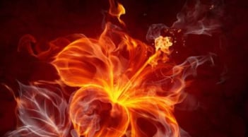 Trời rèn người bằng thử thách: 3 tuổi vượt gian nan, giữ lương thiện thì càng già càng giàu, phúc lớn lộc lớn