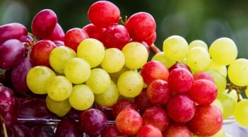 Các loại quả dễ khiến hơi thở có nồng độ cồn