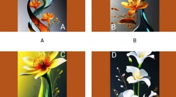 Trắc nghiệm tâm lý: Tốc độ tích lũy tài sản của bạn nhanh đến mức nào?