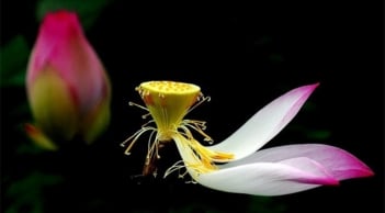 Có 3 lý do vô cùng chính đáng để bạn ngừng mọi đau khổ