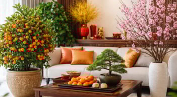 Ngày Tết đặt cây cảnh sai chỗ dễ mất lộc: 6 điều cần tránh để tiền tài không “quay đầu”