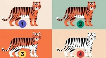 Trắc nghiệm tâm lý: Điểm mạnh nổi bật nhất của bạn là trí tuệ hay bản lĩnh?