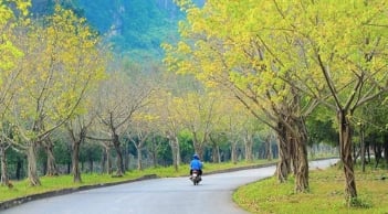 Trắc nghiệm: Bạn có số mệnh giàu sang, phú quý trời định hay không?