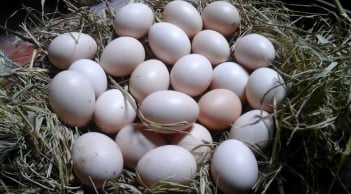 5 người dù thích cũng không nên ăn trứng