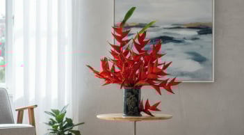 Chuối én đỏ – “bảo bối” phong thủy năm Hỏa 2026: Đẹp lạ, bền cả tháng, hút lộc tiền tài