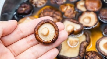 Ngâm nấm hương bằng nước nóng hay nước lạnh mới đúng? Hóa ra hầu hết mọi người đang làm sai