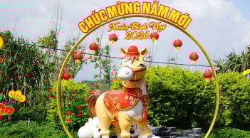 Dự báo thời tiết cả nước đêm Giao Thừa và dịp Tết Nguyên đán Bính Ngọ 2026