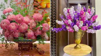 Mẹo cắm hoa nở đẹp, tươi lâu ngày Tết, để cả tuần vãn tươi rói