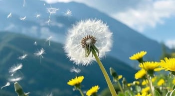 Những ngày đầu năm: 12 con giáp chú ý buông đúng 1 điều, tài vận khởi sắc phúc lộc cùng tới