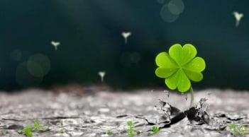 5 bí quyết để năm mới vui vẻ, may mắn và thành công