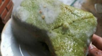 Bánh chưng thừa sau Tết: Xuất hiện 5 dấu hiệu này có thể sinh độc tố nguy hiểm, bỏ ngay kẻo hại sức khỏe
