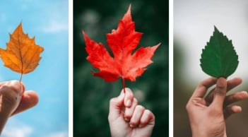 Trắc nghiệm năm nay: Điều bất ngờ lớn nhất sắp đến với bạn là gì?