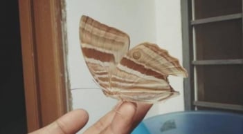 Bàn thờ có 5 dấu hiệu này là điềm đại cát: Tổ tiên phù hộ, gia chủ sắp đón tin vui lớn