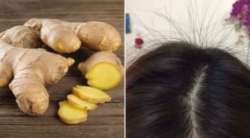 Cách gội đầu bằng gừng trị rụng tóc, kích thích tóc con mọc tua tủa