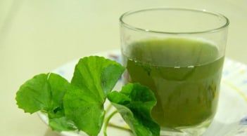 Sau Tết uống loại nước này sẽ hỗ trợ giảm cân, thải độc cơ thể hiệu quả