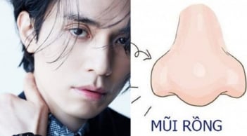 4 tướng mũi của người đa tài già có