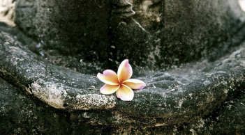 5 điều cần tâm niệm mỗi ngày để cuộc đời an nhiên tự tại