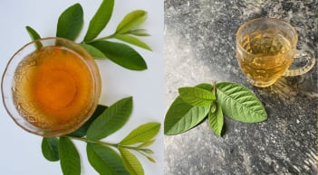 Cách uống nước lá ổi giúp eo thon, tiêu mỡ bụng, giảm cân